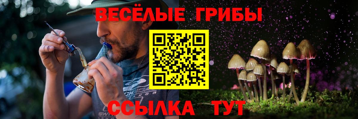 Псилоцибиновые грибы GOLDEN TEACHER  Псилоцибиновые грибы Magic Shrooms  хочу   Вход с VPN  Мончегорск 
