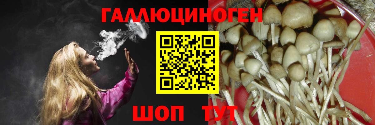 Галлюциногенные грибы мицелий Мончегорск